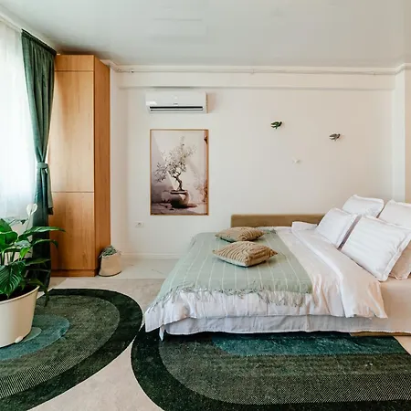 Olive Tree With Parking 3 Minutes Walk To The