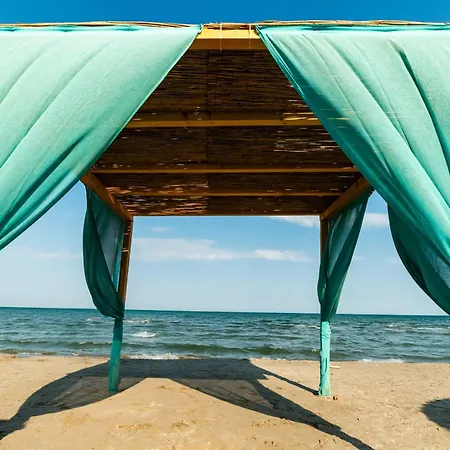 Olive Tree With Parking 3 Minutes Walk To The *