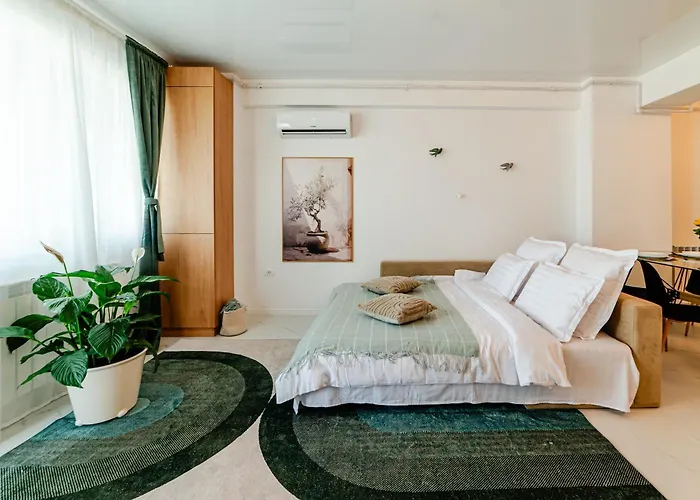 Olive Tree With Parking 3 Minutes Walk To The