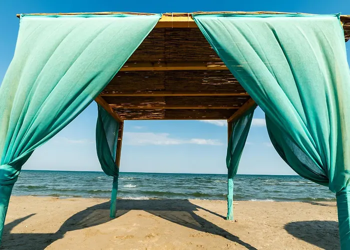 Olive Tree With Parking 3 Minutes Walk To The *